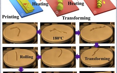 Researchers 4D print tube-like soft robot capable of rolling and climbing on its own